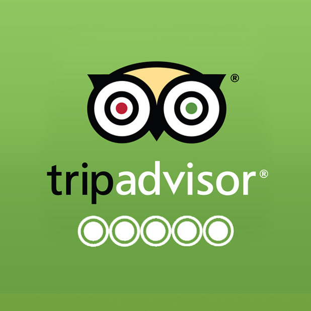 Gorilla Hurly Burly TripAdvisor