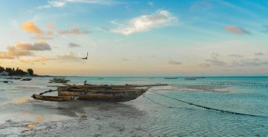 3 Days Short Zanzibar Island Beach Safari & Vacation Tour