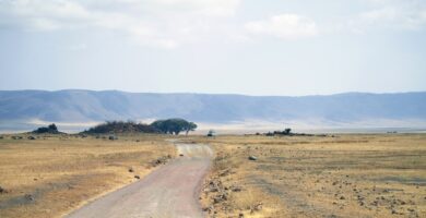 4 Days Tanzania Camping Safari to Serengeti & Ngorongoro
