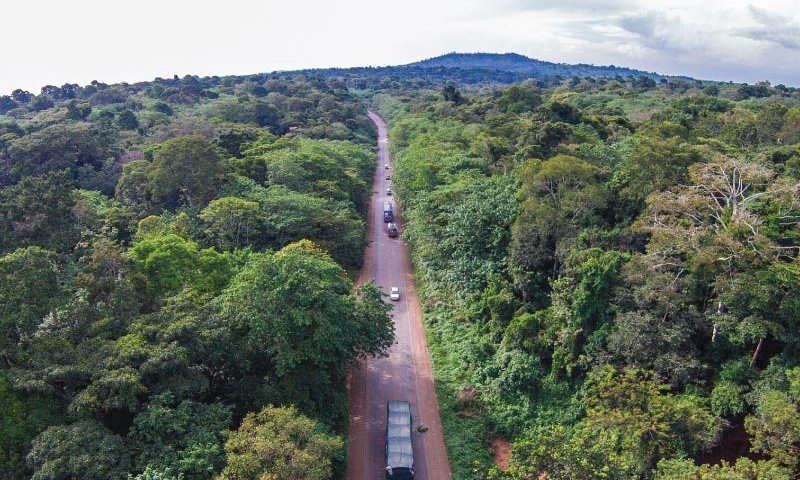 Mabira Forest