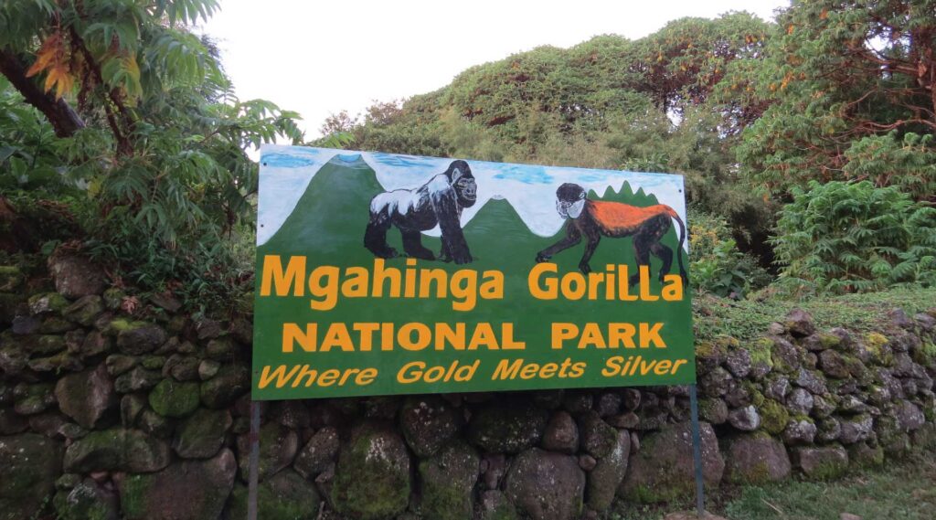 Mgahinga Gorilla National Park - Gorilla Trekking, Golden Monkey Tracking & Volcano Hiking Adventures