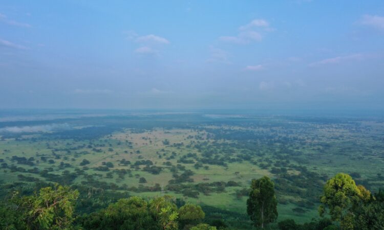 Queen Elizabeth National Park - Uganda's Premier Safari Destination