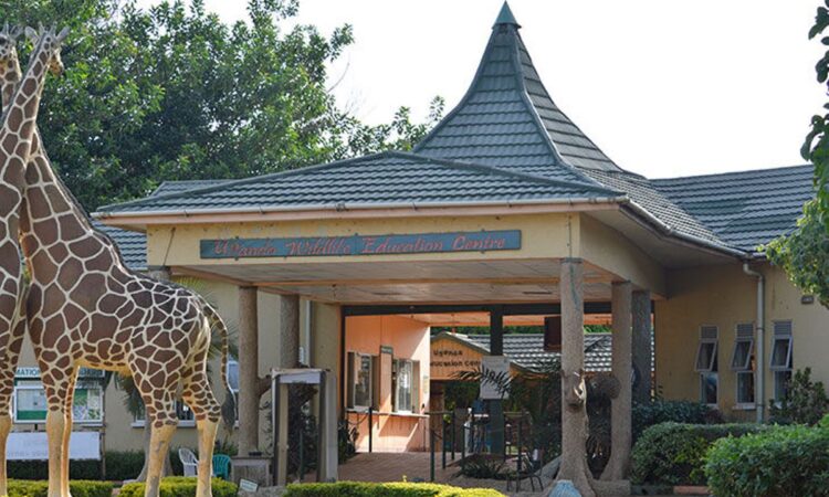 Uganda Wildlife Education Center - Conservation & Wildlife Experiences in Entebbe